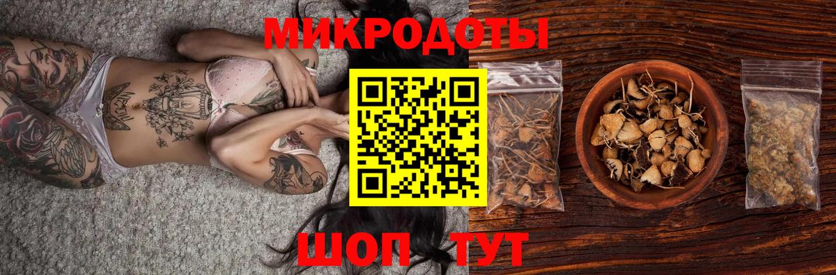 Спасск-Дальний  Псилоцибиновые грибы Psilocybe  Вход с VPN 